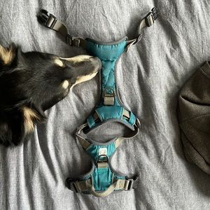 Embark Adventure Dog Harness - Small